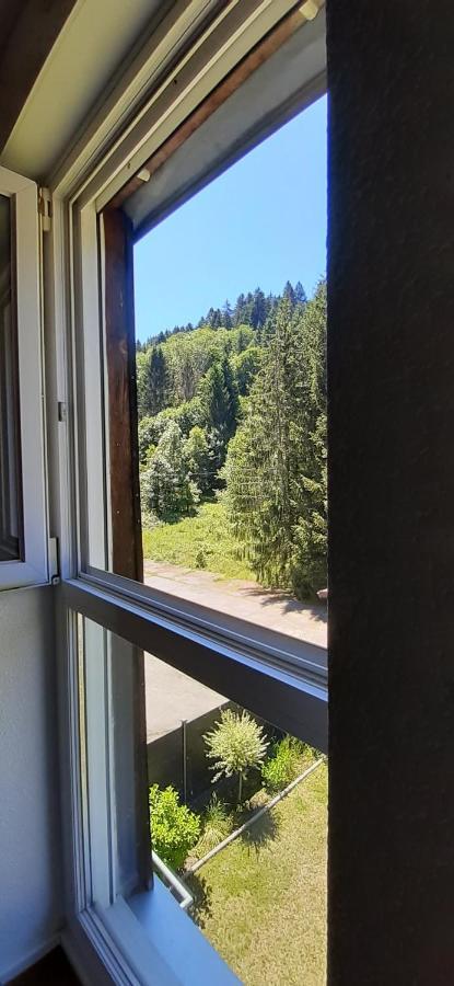 Le Montagnard Apartment Gerardmer Exterior photo